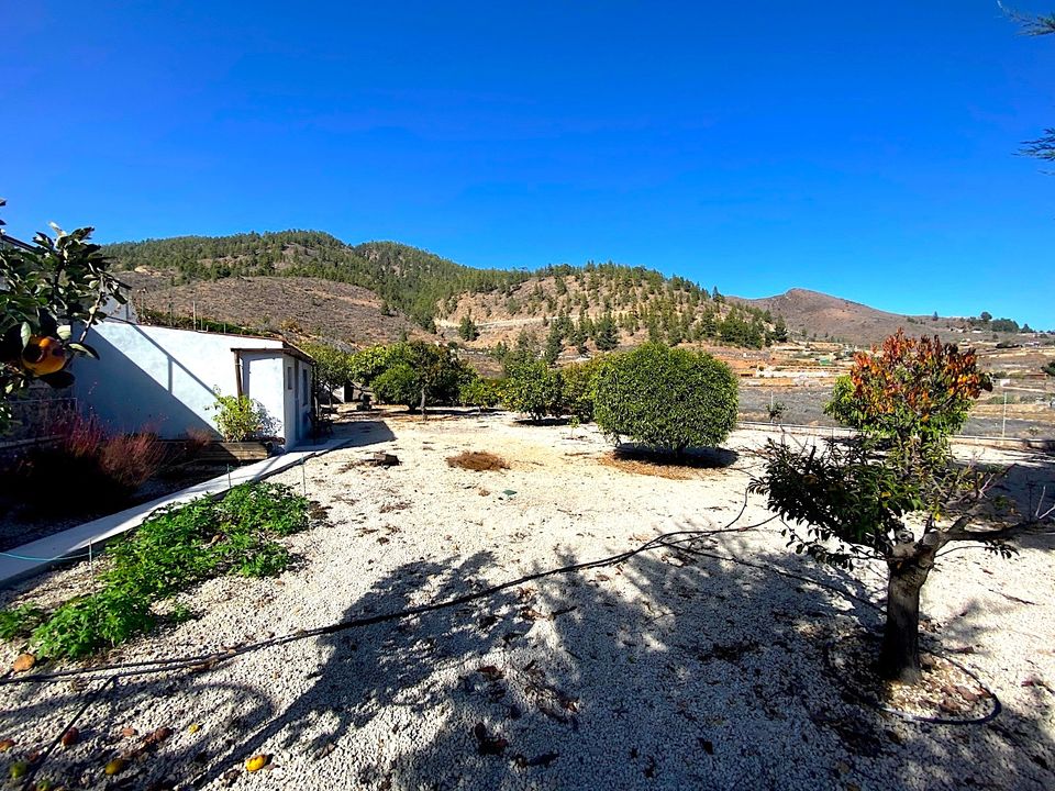 Finca i Granadilla de Abona, Tenerife - foto 3